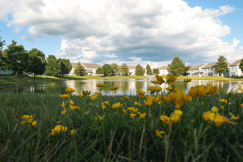 3 Private lakes with fountains